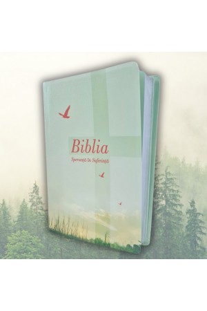 Biblia de studiu Speranță în suferință - mărime mare, piele ecologică, culoare verde deschis, margini argintii, cuv. lui Isus cu roșu