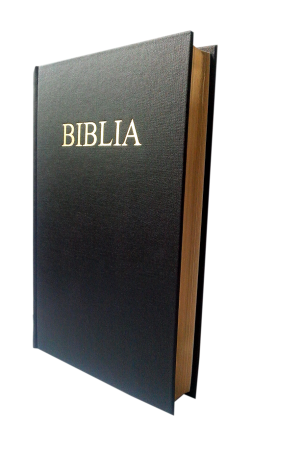 Biblia marime mare, coperta tare, neagra, margini argintate, cuv. lui Isus in rosu [073 CT]