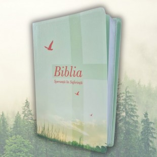 Biblia de studiu Speranță în suferință - mărime mare, piele ecologică, culoare verde deschis, margini argintii, cuv. lui Isus cu roșu